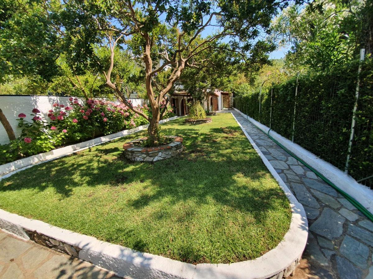 Dionisos Studios And Apts Skiathos Koukounaries Exterior foto